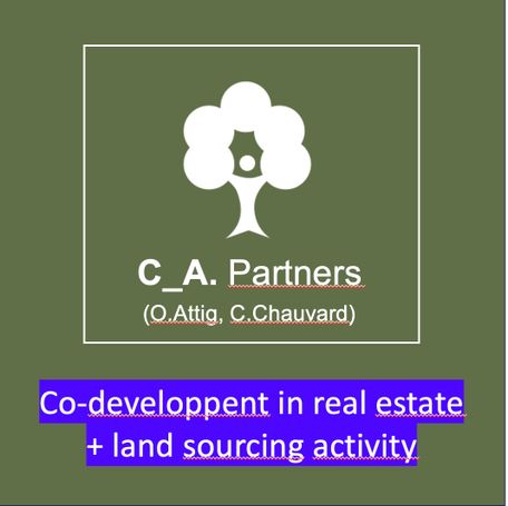 Launching co-development real estate activity